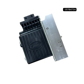 Electric actuator coil
