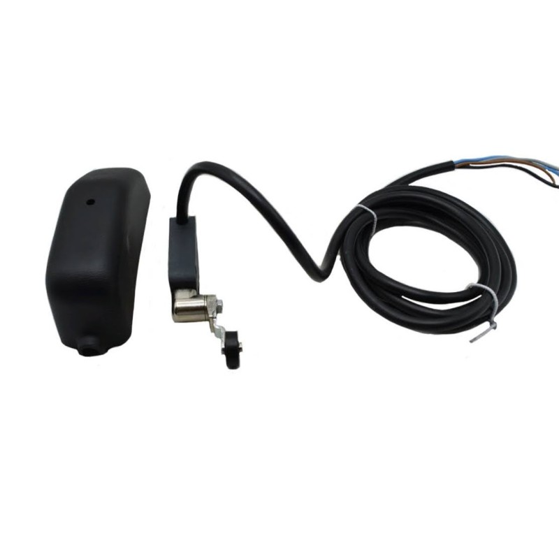 Microinterruptor estabilizador grúa 031557