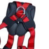 Harness with belt, lanyards, and carabiners