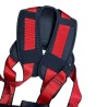 Harness with belt, lanyards, and carabiners