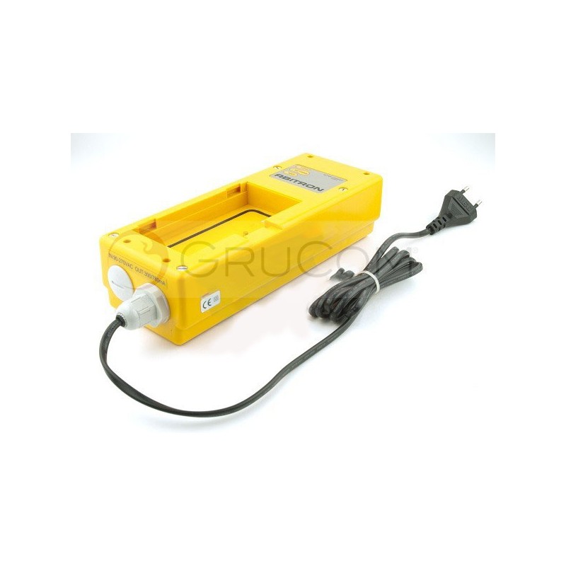 Crane radio control charger